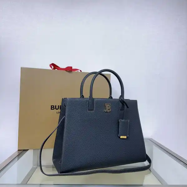 Rep BURBERRY Small Frances Bag 0128